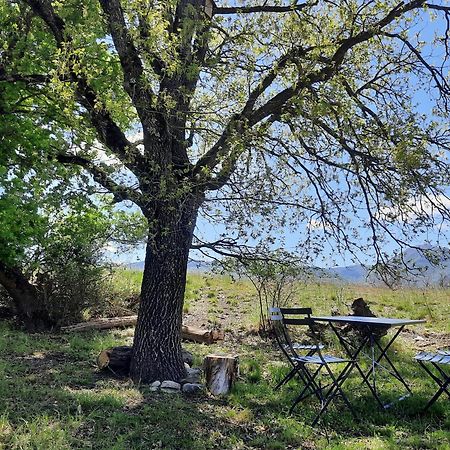 Gite Des Millets En Baronnies Rosans Exterior foto